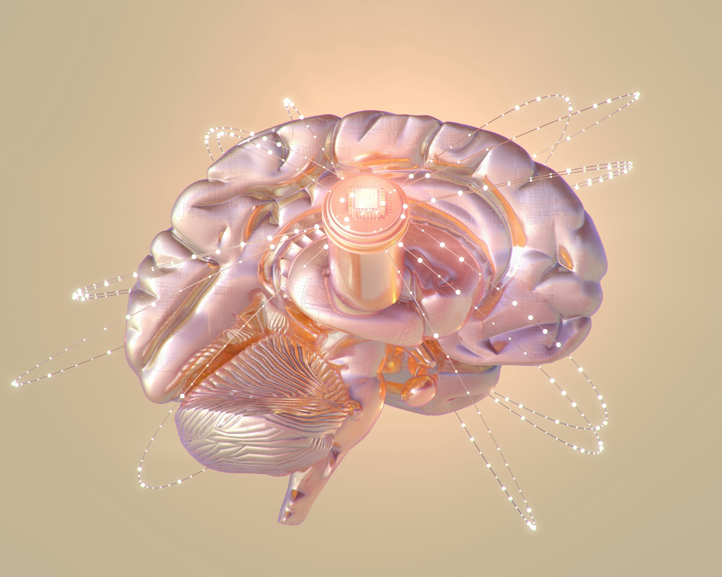 Cognitive Load Workshop